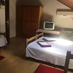 Crveno Zlato 2*